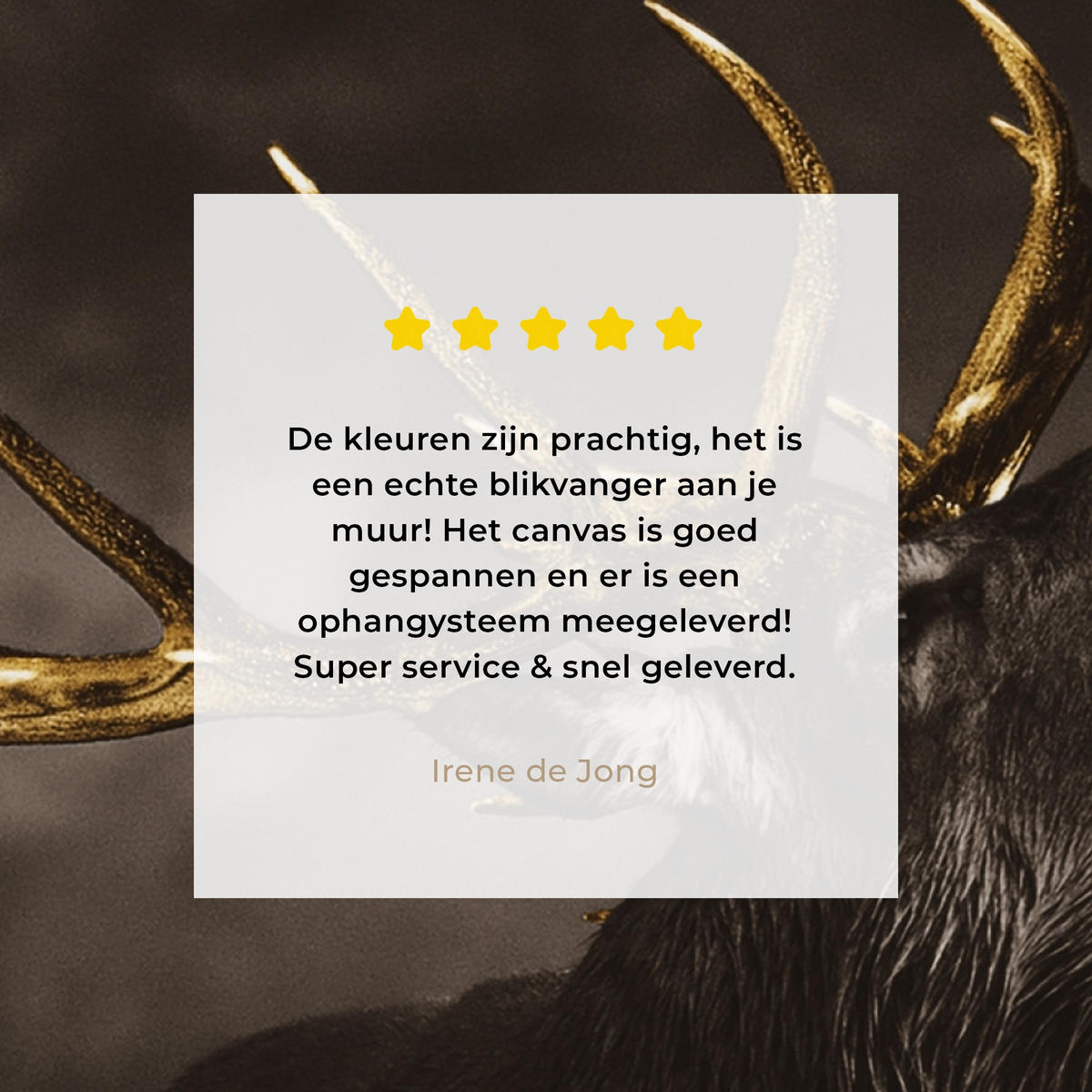 LEINWANDBILD Rotwild - Schwarz - Gold 50x50 cm - Braun, Textil (50/50cm) - MuchoWow