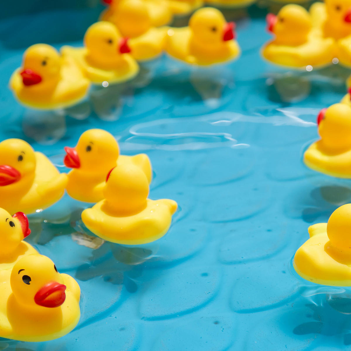 25XKACHNIČKY - žlutá, plast (5.5/4/5cm) - Relaxdays