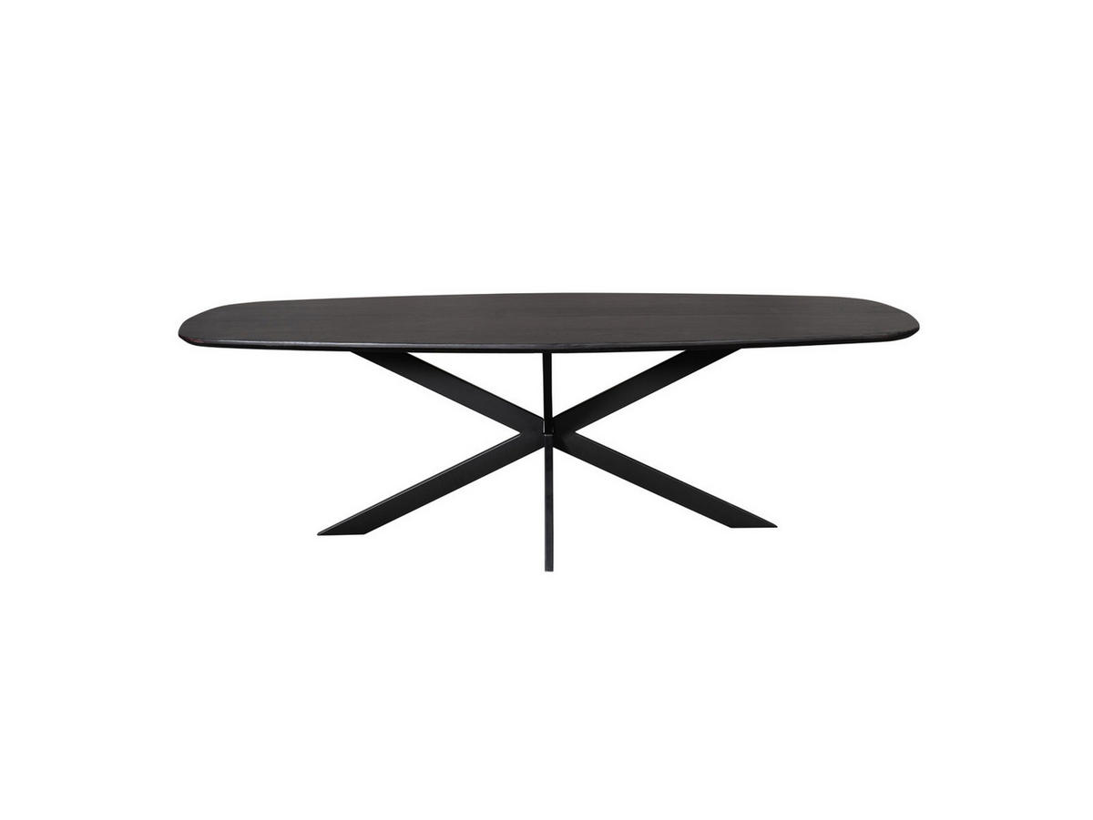 ESSTISCH Ferro Eichenholz Dänisches Oval 280 cm X 120 cm Schwarz - Schwarz, Holz (120/280/76cm) - Villa Möbel