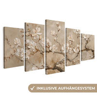 LEINWANDBILD 5er Set Beige - Blüte - Modern 100x50 cm - Greige, Textil (100/50cm) - MuchoWow