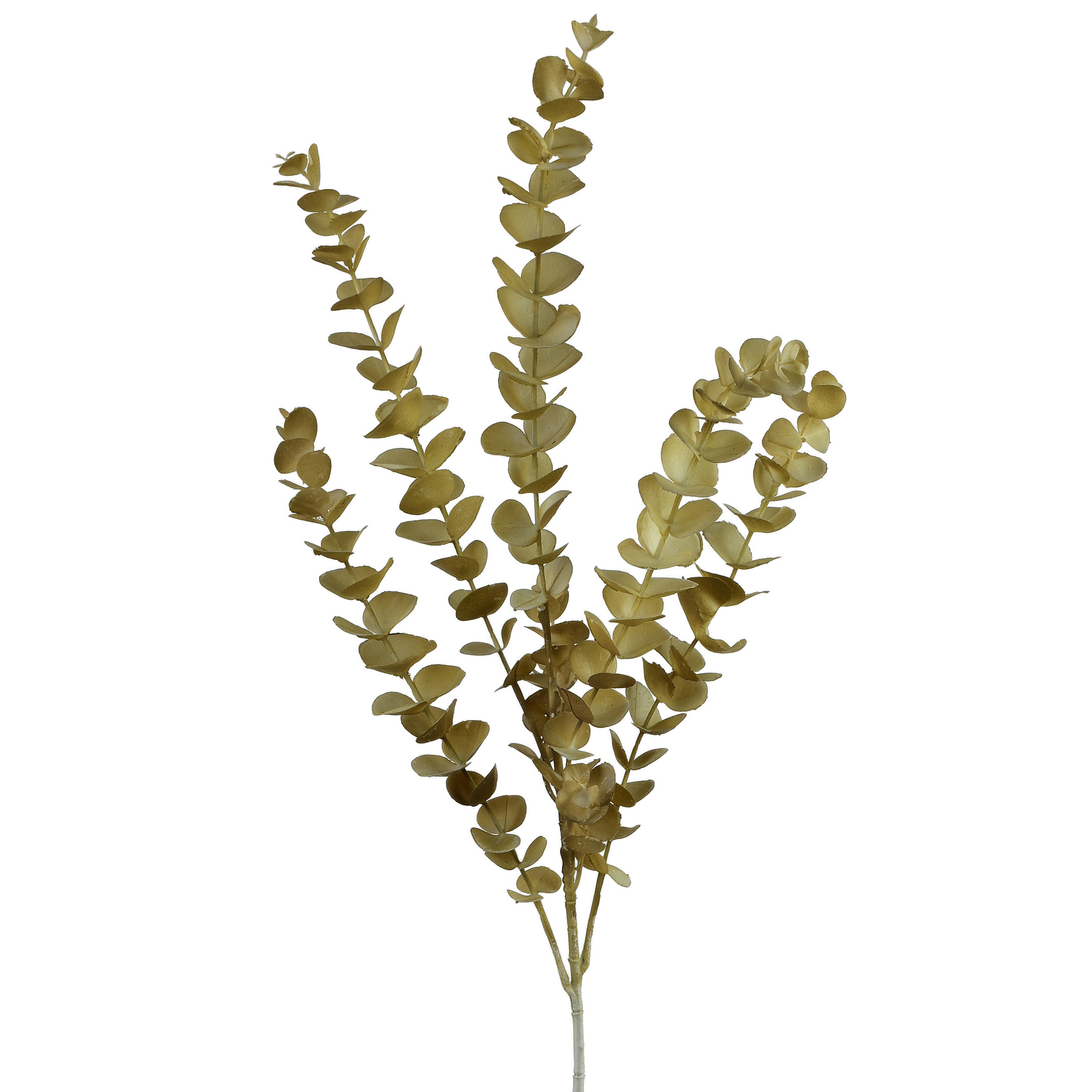 KÜNSTLICHER EUKALYPTUSZWEIG Viridis 80cm Kunststoff - Creme, Kunststoff (80cm) - Mondex