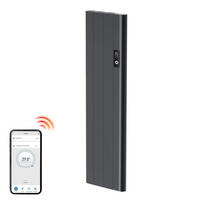 HEIZKÖRPER Anthrazit 160/36,2/6 cm - Anthrazit, Metall (36/160/6cm) - EMKE