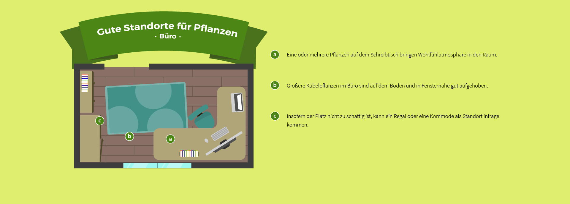 Raumübersicht Büro, Die passende Pflanze für jedes Zimmer XXXLutz