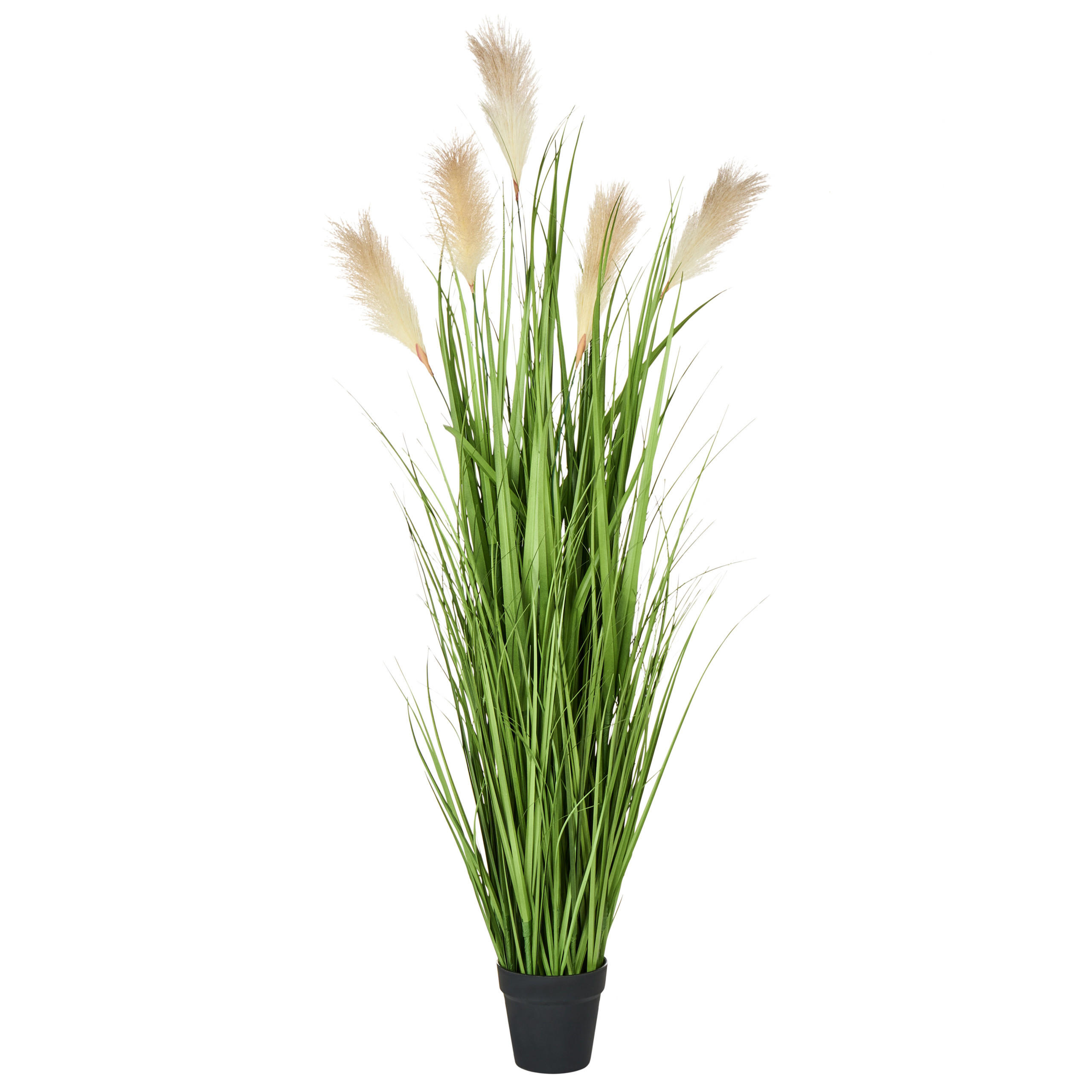 KUNSTPFLANZE 130 cm Grün Pampas Grass - Schwarz/Weiß, Kunststoff (130cm) - Beliani