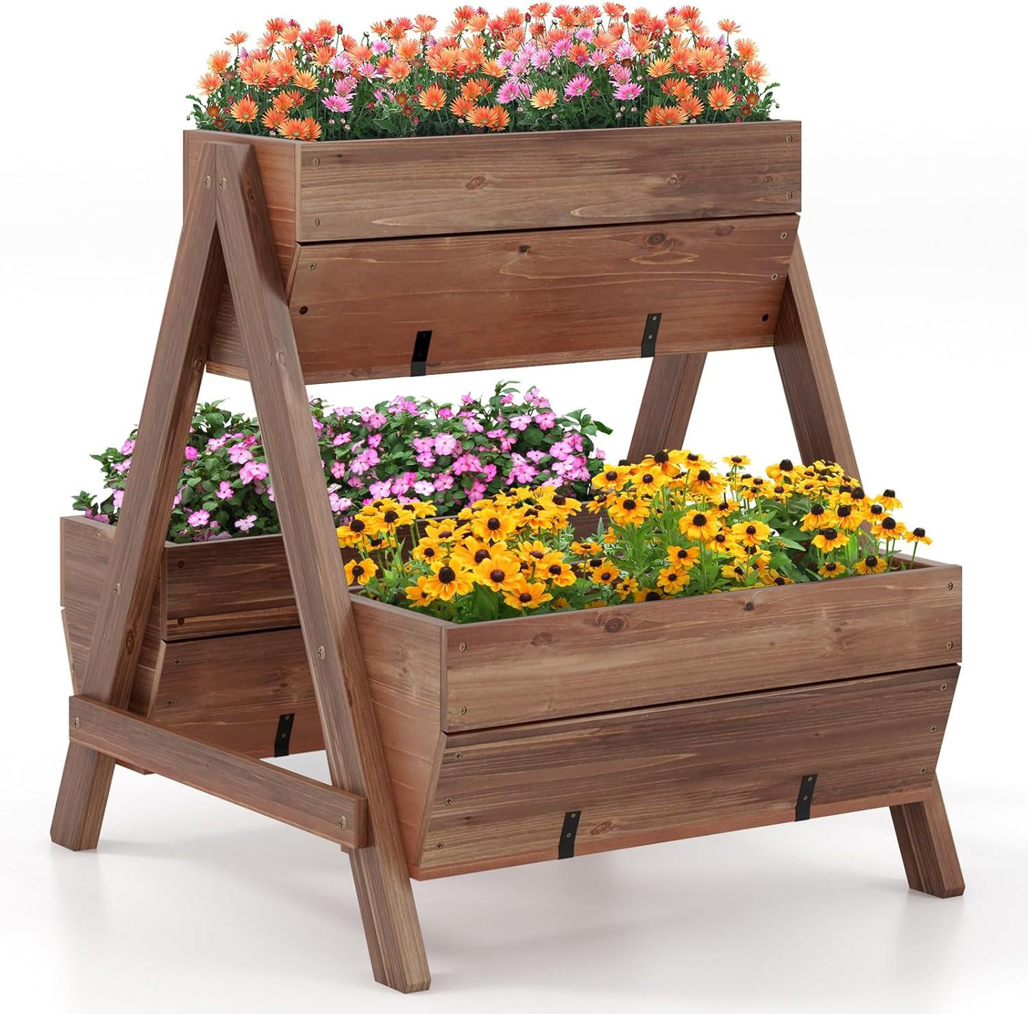 HOCHBEET Braun - Braun, Holz (73/73/66cm) - COSTWAY
