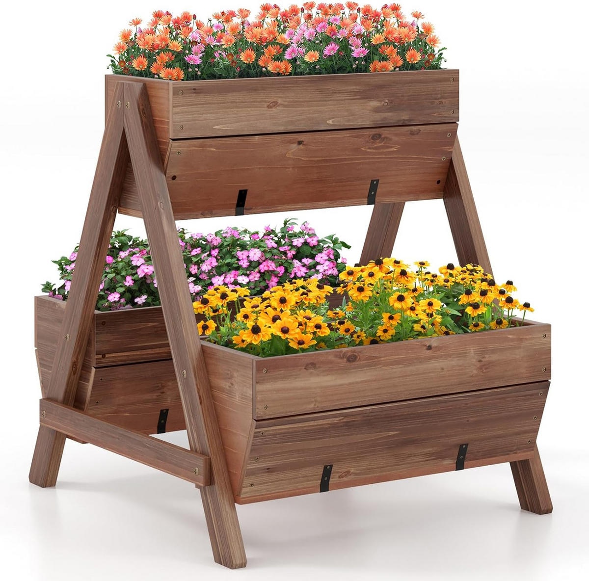 HOCHBEET Braun - Braun, Holz (73/73/66cm) - COSTWAY