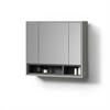 BADSPIEGELSCHRANK Temo Grau/Anthrazit 80 x 72 cm - Anthrazit/Grau, Holzwerkstoff (80/72/20cm) - Livinity®