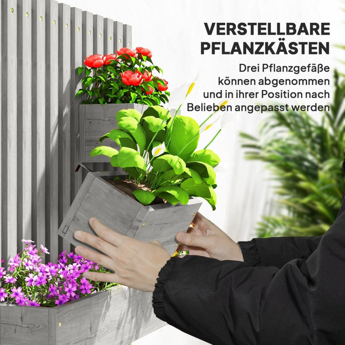 BLUMENKASTEN Set Wand Holz 60x16x80 cm - Grau, Holz (60/80/16cm) - Fortuna Lai