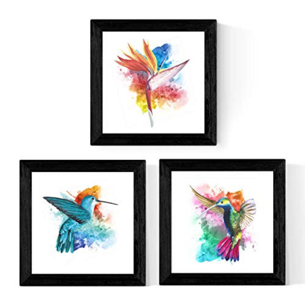 POSTER Set Mit 3 Kolibris Natur 25X25cm Rahmenlos - Klar, Papier (25/5/25cm) - Nacnic