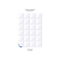 WINTERBETTDECKE EXQUISIT Gänsedaunen extra warm - Weiß, Naturmaterialien/Textil (155/220cm) - Böhmerwald