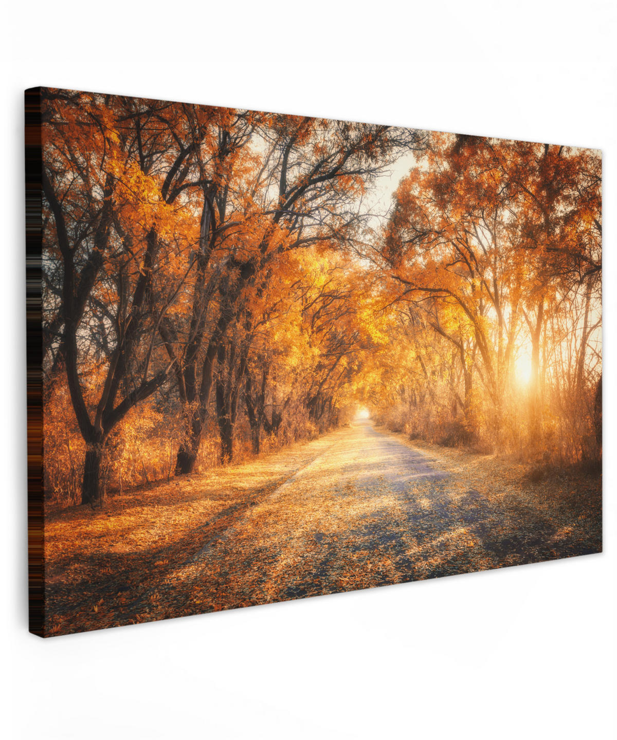 LEINWANDBILD Wald - Herbst - Bäume - Waldweg - Natur Groß 140x90 cm - Bernsteinfarben, Textil (140/90cm) - MuchoWow