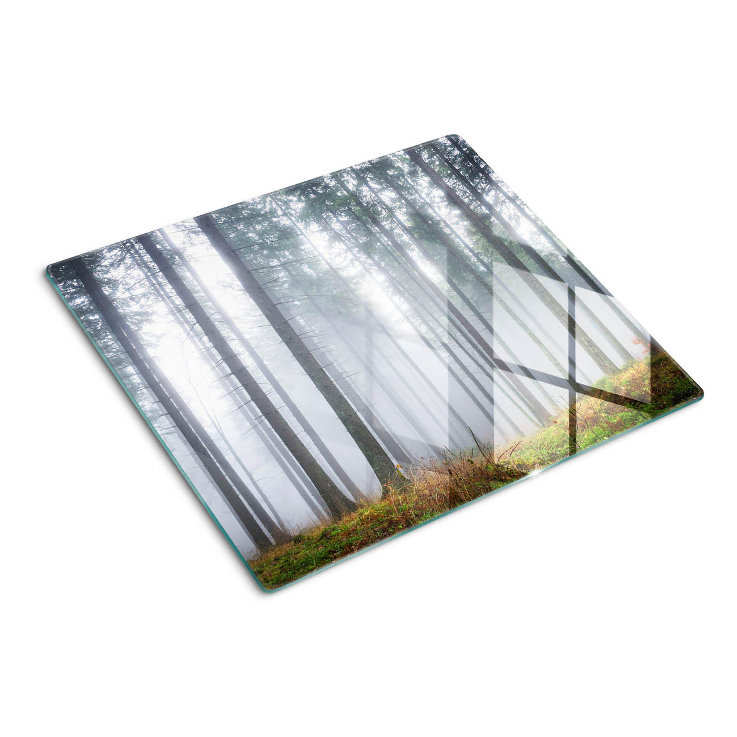 GLASPLATTE 60x52 cm Nebel im Wald - Grau, Glas (60/0.4/52cm) - TULUP