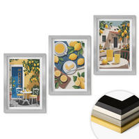 WANDBILDER 3er Set - 20x30 cm Silberner Rahmen - Patio Sun Limonade - Silberfarben, Kunststoff (20/30cm) - ArtPrintCave