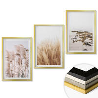 WANDBILDER 3er Set - 40x60 cm Goldrahmen - Pampasgrasfelder und ein Boho-Strand - Goldfarben, Kunststoff (40/60cm) - ArtPrintCave