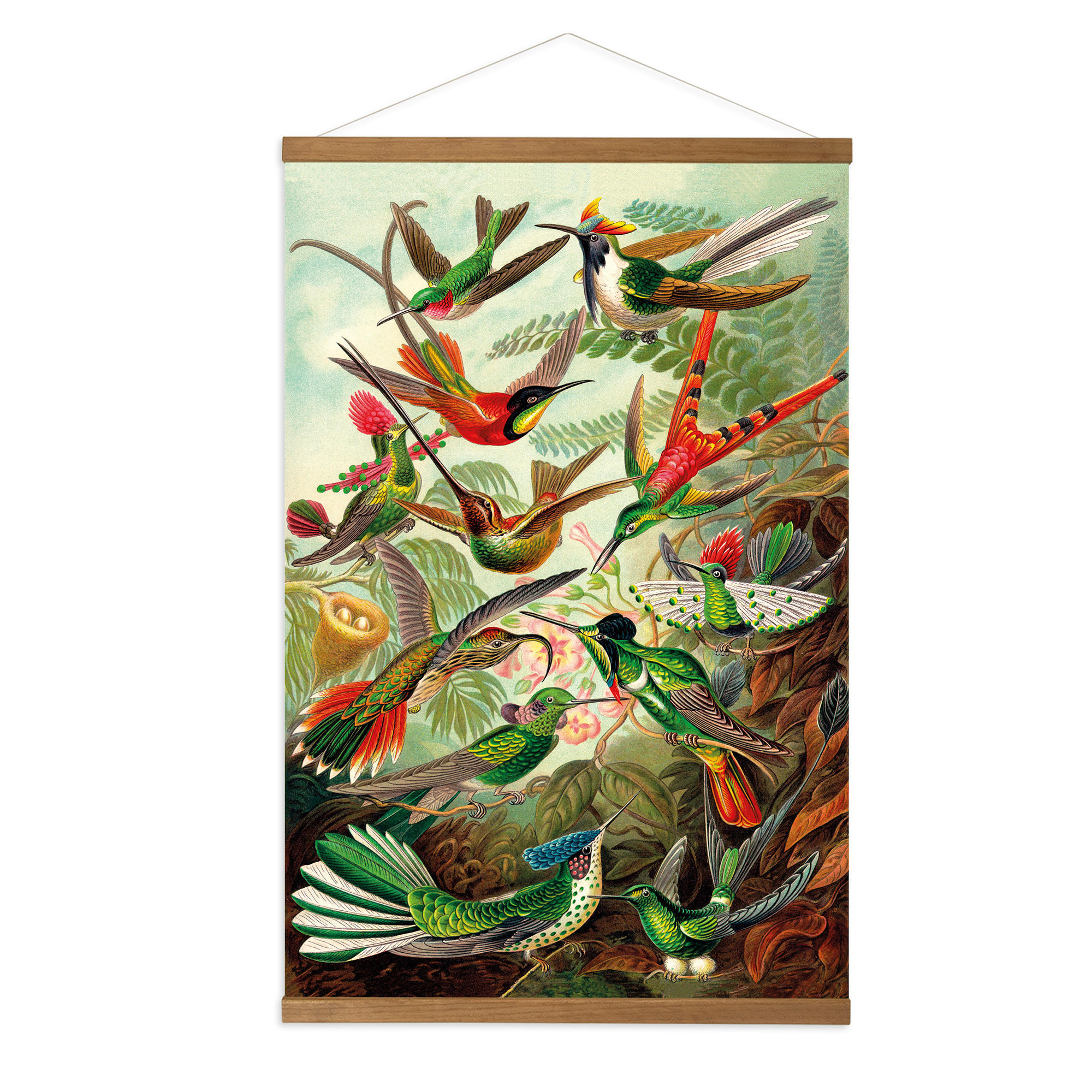POSTER Leinen Kolibris - Multicolor, Textil (60/80/0.1cm) - Art for the Home