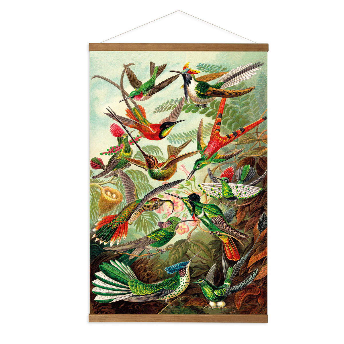 POSTER Leinen Kolibris - Multicolor, Textil (60/80/0.1cm) - Art for the Home