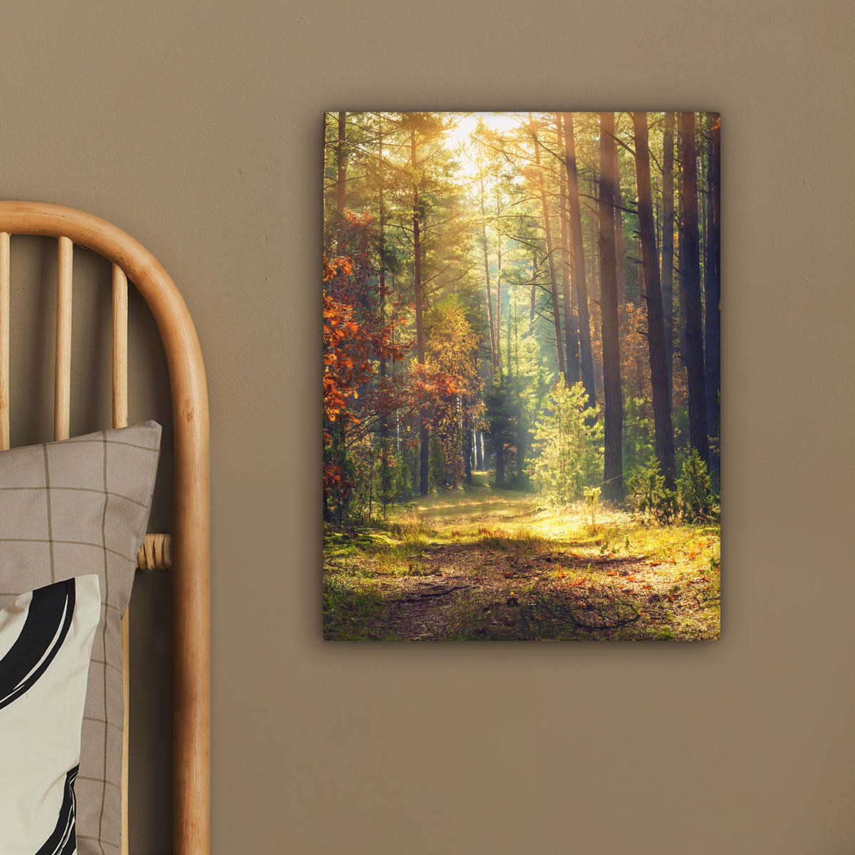 LEINWANDBILD Wald - Herbst - Bäume 30x40 cm - Dunkelgrün, Textil (30/40cm) - MuchoWow