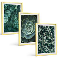 BILDER SET 3er Set - 40x60 cm Goldrahmen - Sukkulenten - Goldfarben, Kunststoff (40/60cm) - TULUP