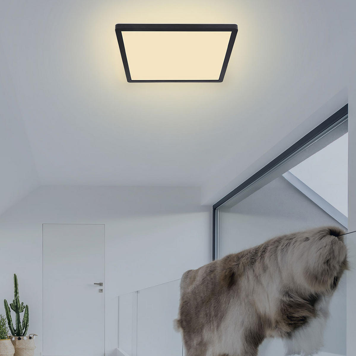 LED DECKENLEUCHTE SAPANA Weiß Opal - Weiß, Kunststoff (29.4/29.4/2.5cm) - Globo Lighting