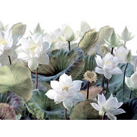 FOTOTAPETE tropische Blätter und Blüten 375 x 270 cm - Grün, Papier (375/270cm) - Sanders & Sanders