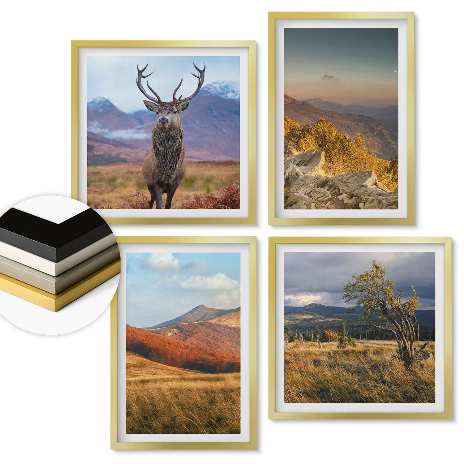 WANDBILDER 4er Set - 50x50 cm & 40x60 cm Goldrahmen - Berglandschaften, Hirschgras - Goldfarben, Kunststoff (50/50cm) - ArtPrintCave