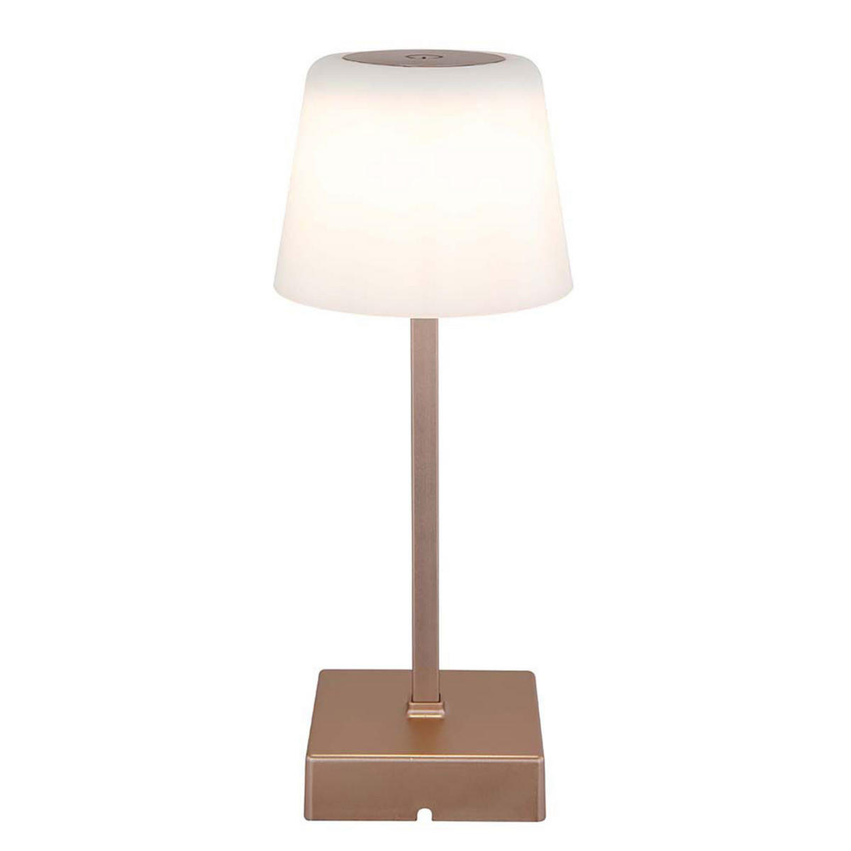 LED TISCHLEUCHTE XAYDEN Champagner - Champagner, Metall (8.5/8.5/25.5cm) - Globo Lighting