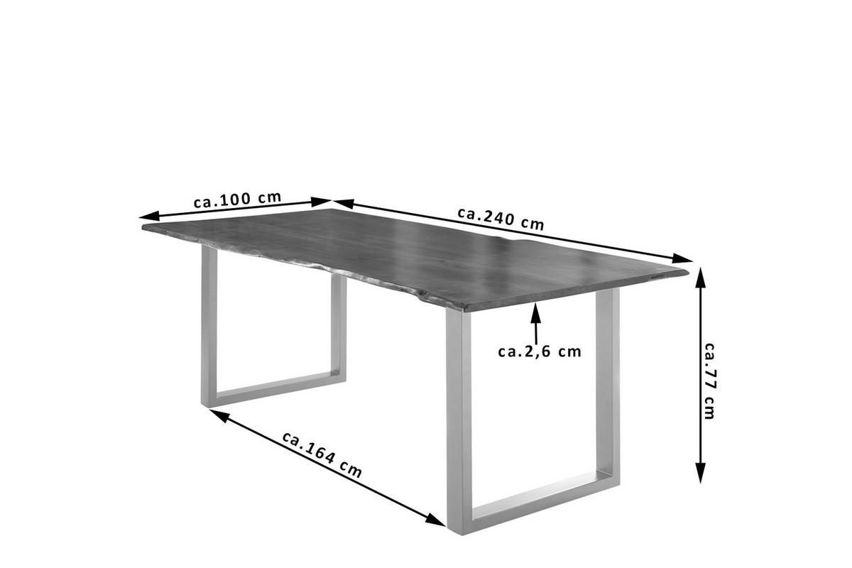 ESSTISCH LUBIN - Silberfarben/Braun, Holz/Metall (100/240/77cm) - SAM