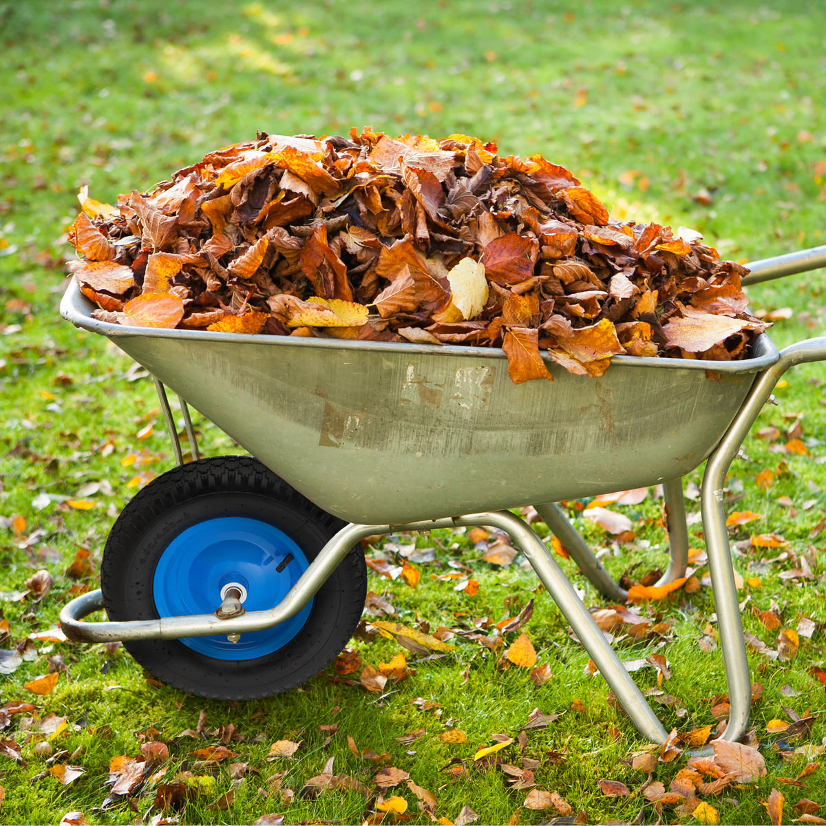 SCHUBKARRENRAD - Multicolor, Kunststoff/Metall (39/39/9cm) - Relaxdays