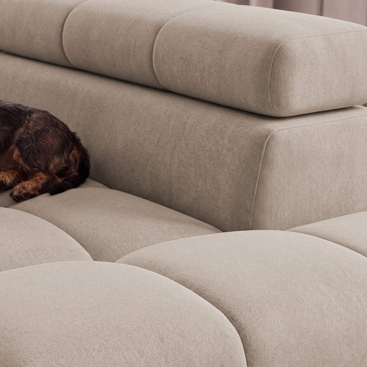 ECKSOFA PUDDING S Rechts mit Schlaffunktion 125x195 Velours Beige - Beige/Schwarz, Holz/Textil (275/177cm) - Muffo