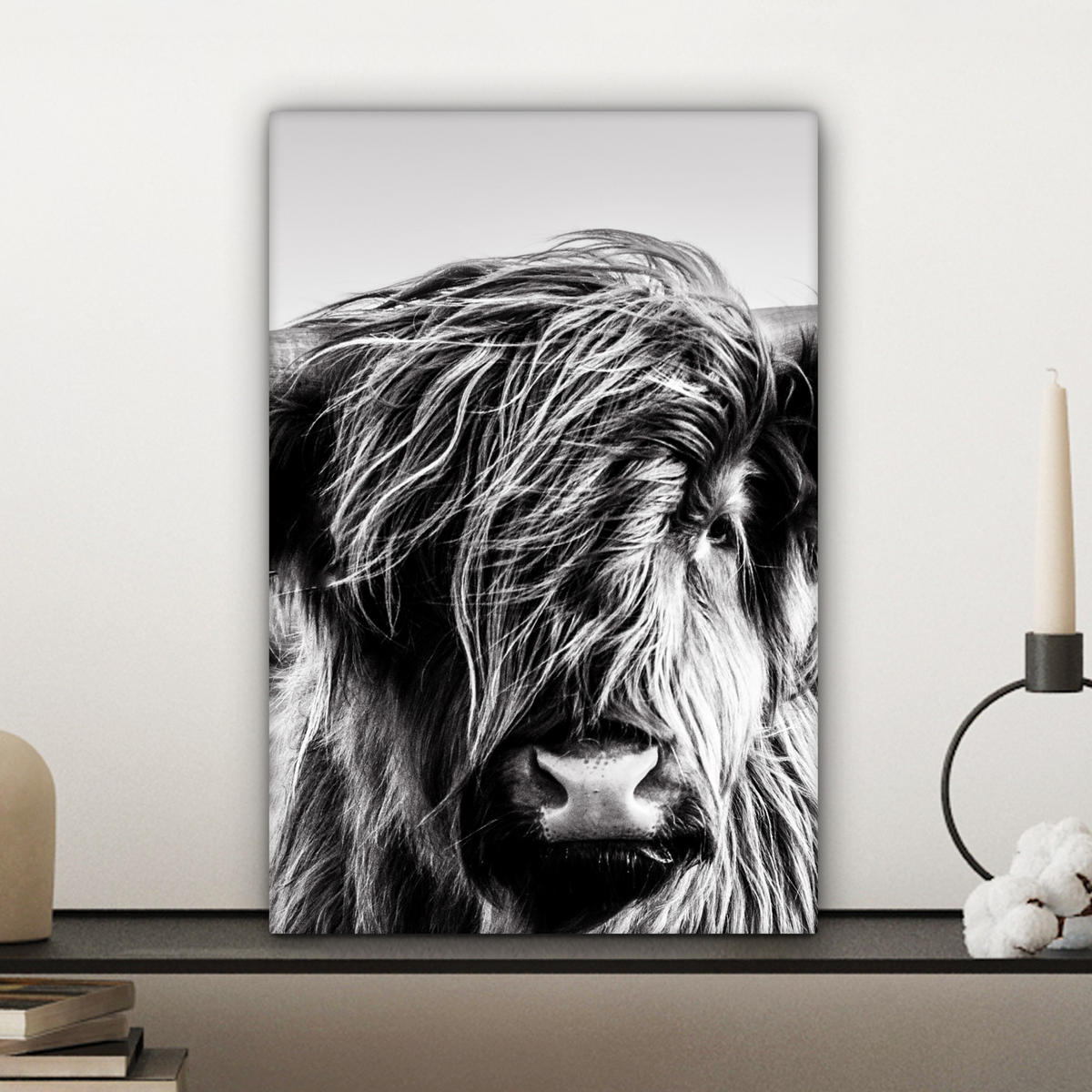 OBRAZ NA PLÁTNĚ Kráva - Skotský horal - Černá - Bílá - Zvíře - Příroda - Divoká zvěř 20x30 cm - černá, textil (20/30cm) - MuchoWow