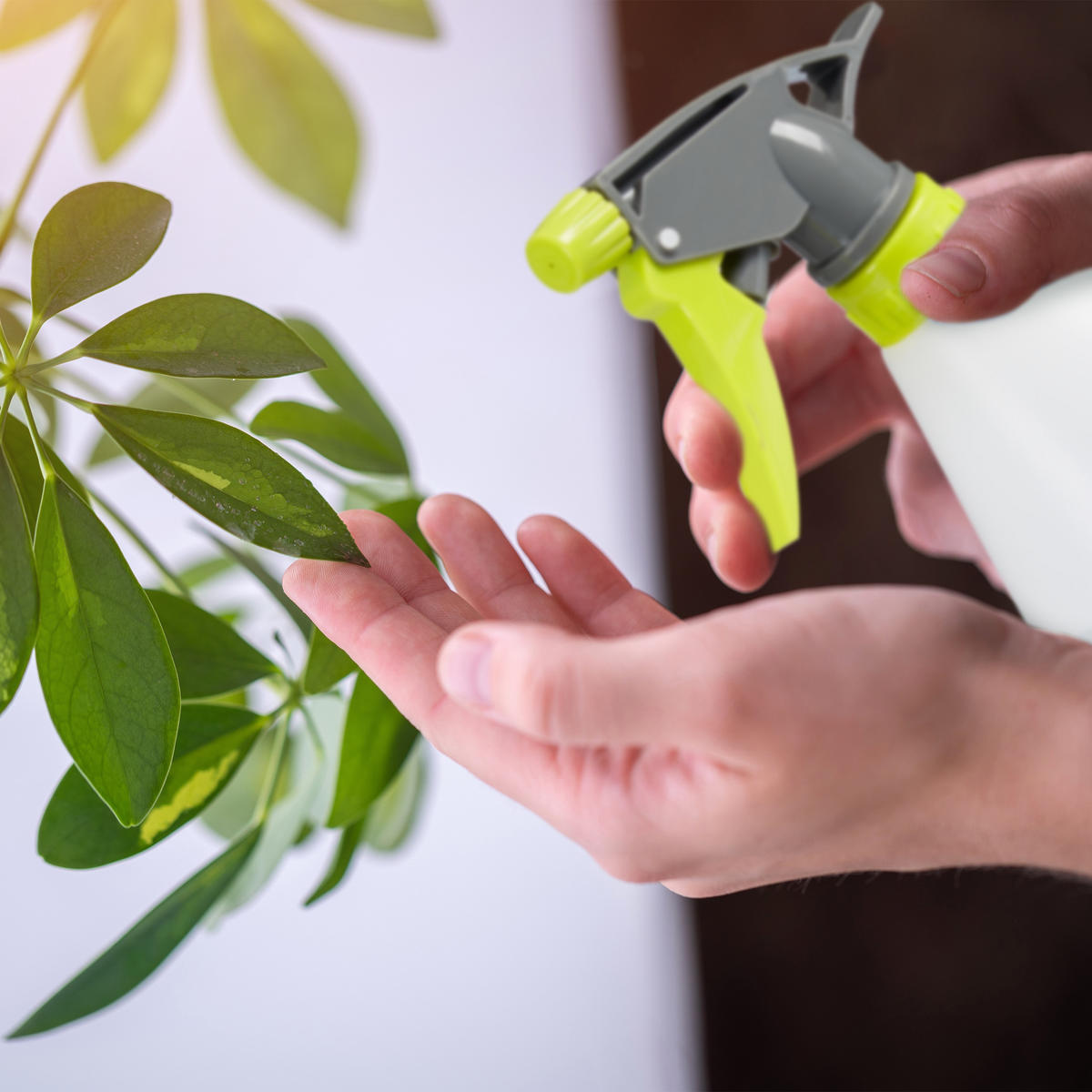 3XSPRÜHFLASCHE - Weiß, Kunststoff (9/20/11cm) - Relaxdays