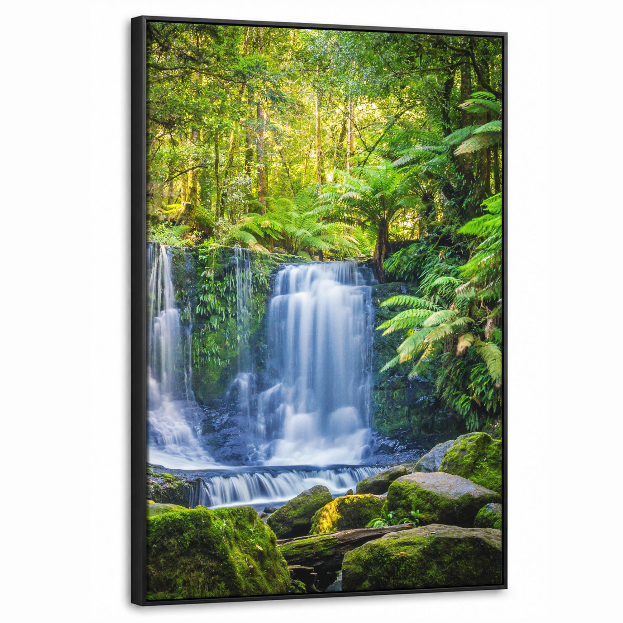 LEINWAND Bilder mit Rahmen - Dschungel - Wasserfall - Australien - Pflanzen - Natur - 60x90 - Dunkelgrün, Textil (60/90cm) - MuchoWow