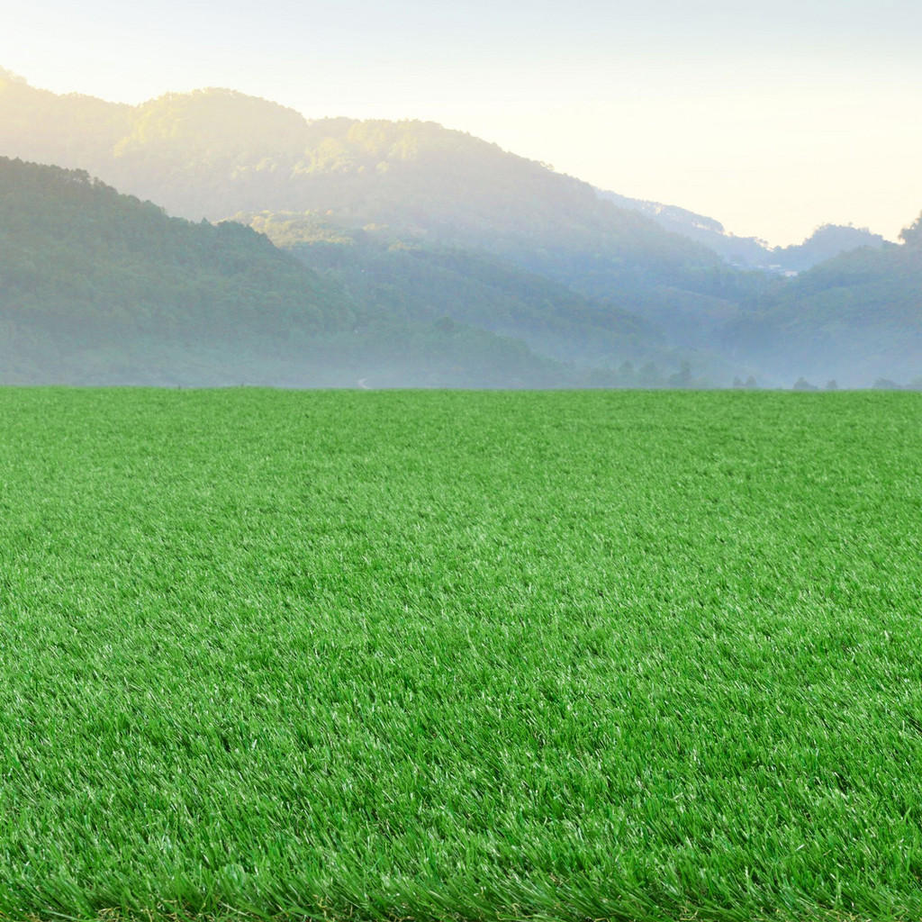Thumbnail - Steffensmeier Rasenteppich, Grün, Kunststoff, Rechteckig, 200x800 cm, beliebig kürzbar, Gartenzubehör, Terrassen- & Balk...