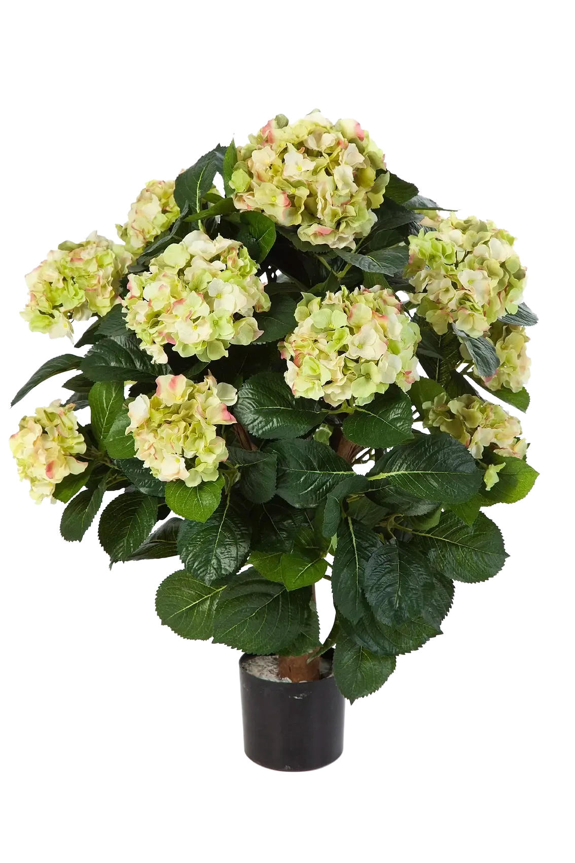 KUNSTPFLANZE Künstliche Hortensie - Noah 62 cm - Multicolor, Kunststoff (62cm) - aplanta