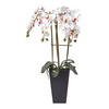 KUNSTBLUME Orchidee weiß im Deko-Topf, 70 cm - Weiß, Kunststoff (70cm) - Homescapes