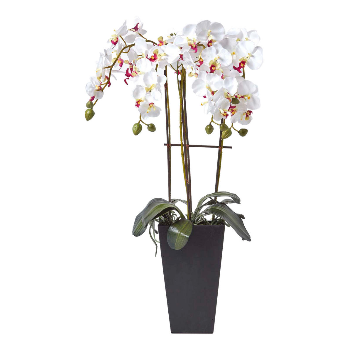 KUNSTBLUME Orchidee weiß im Deko-Topf, 70 cm - Weiß, Kunststoff (70cm) - Homescapes