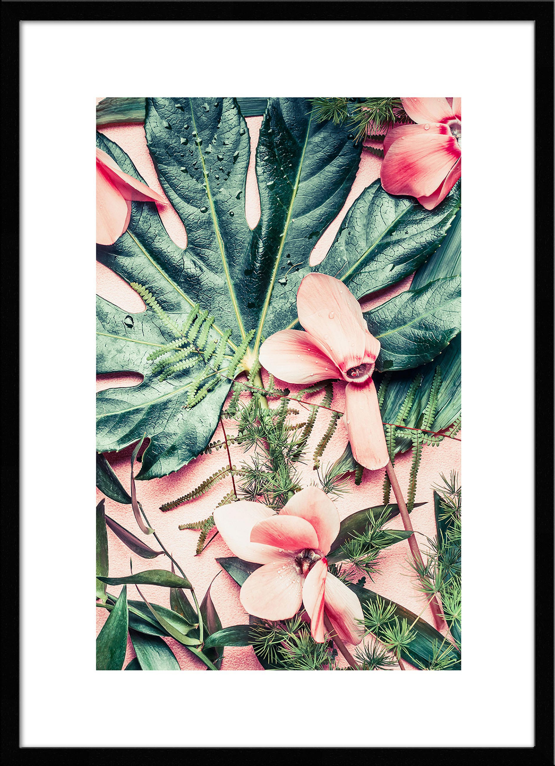 POSTER mit Rahmen 50x70 cm Tropische Blüten Grün - Rosa, Holz (51/71cm) - artissimo