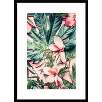POSTER mit Rahmen 50x70 cm Tropische Blüten Grün - Rosa, Holz (51/71cm) - artissimo