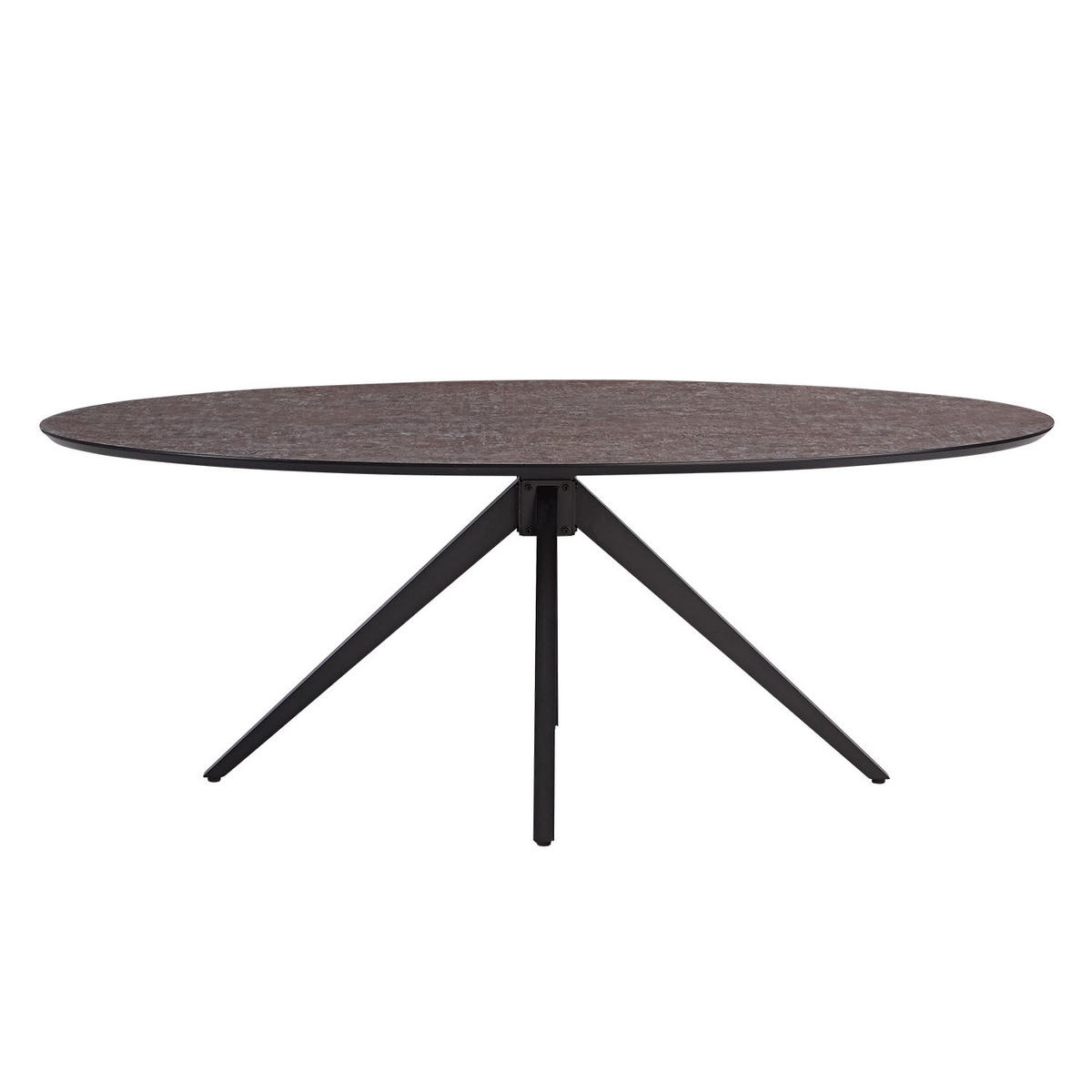 ESSTISCH oval 200 cm Braun - Schwarz/Braun, Metall (200/95/76cm) - Homestyle4u