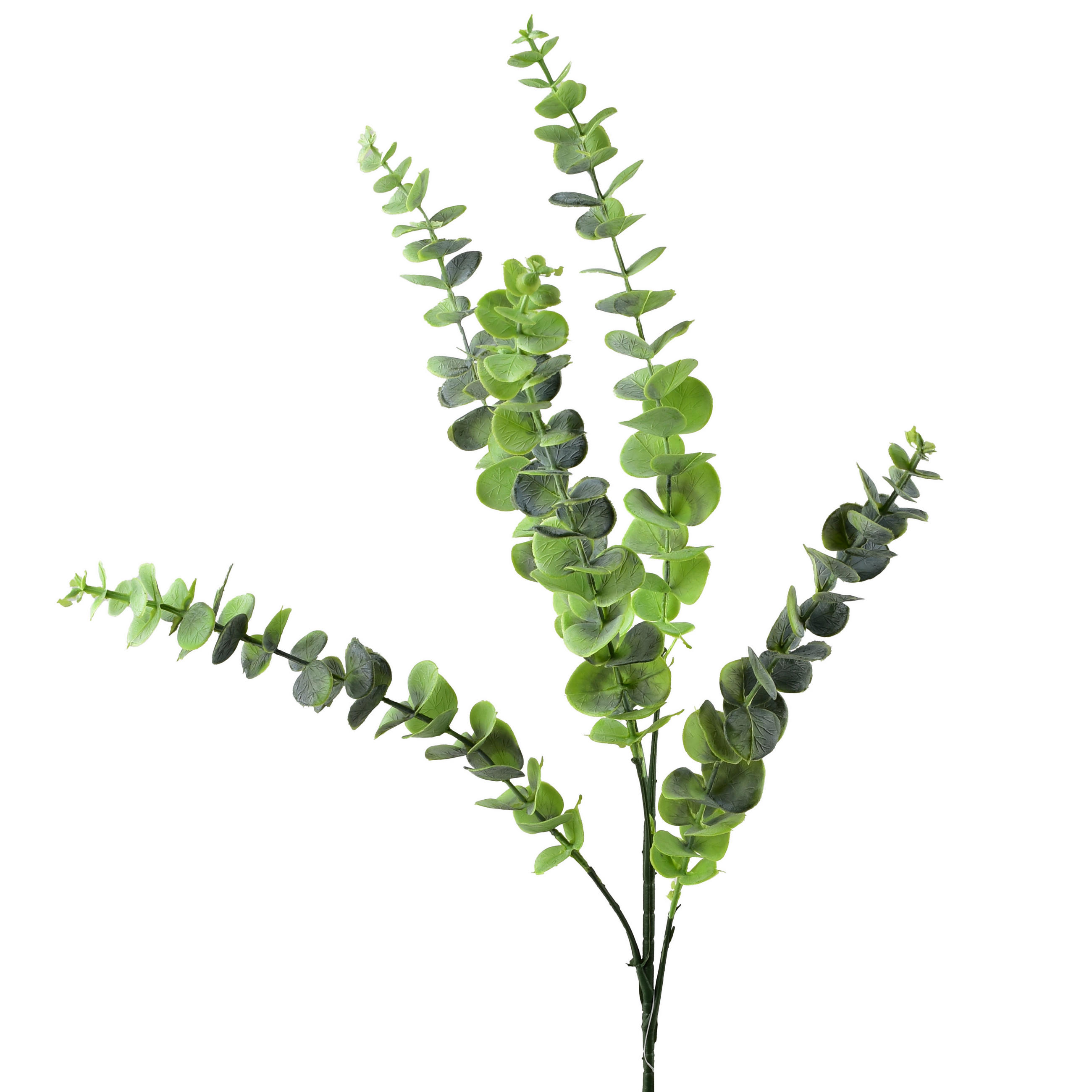 UMELÁ VETVIČKA EUKALYPTUS Viridis 80 cm - farba eukalyptového dreva, plast (80cm) - Mondex