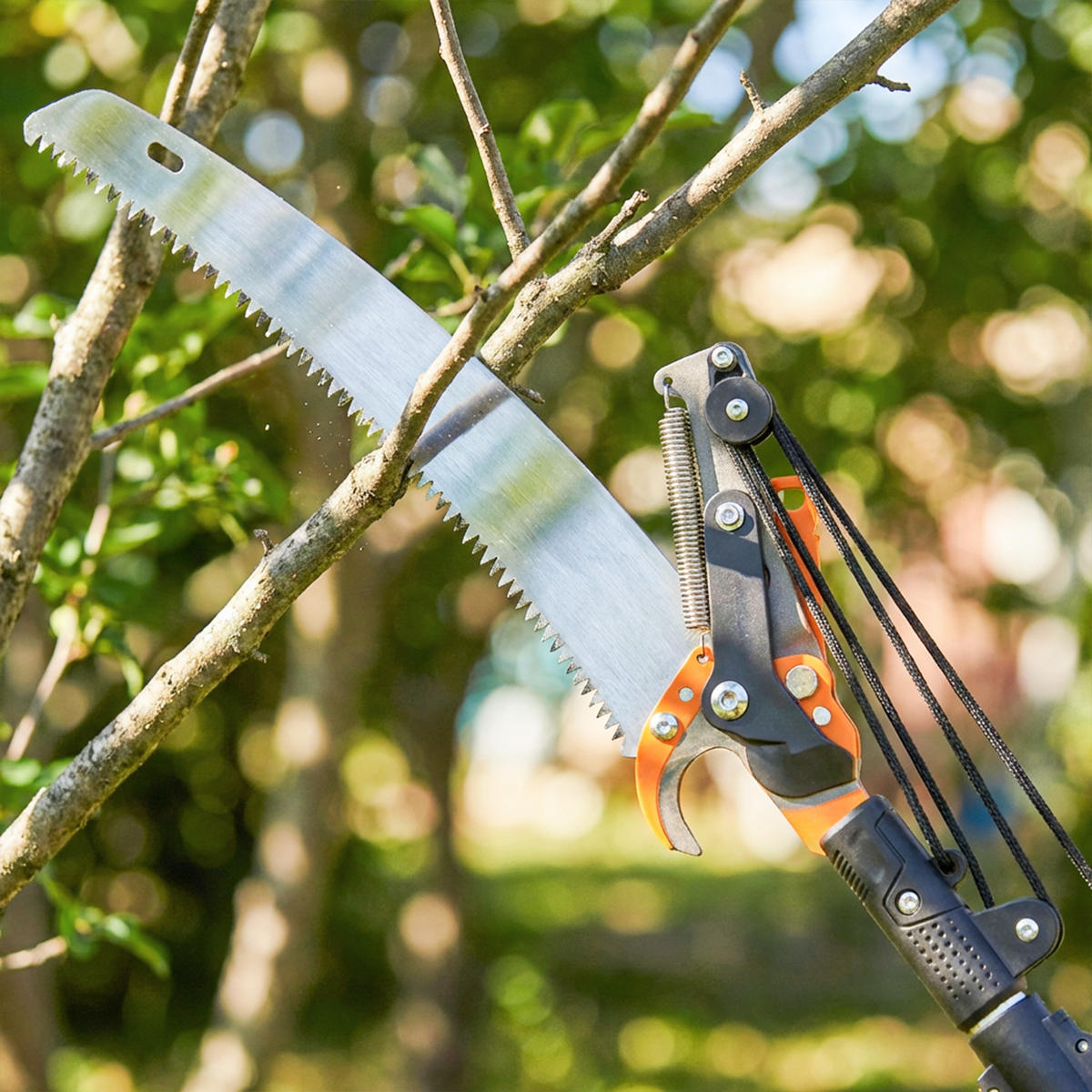 ASTSÄGE DE-10252 2-in-1 mit Teleskopstiel (135-199 cm) Orange - Orange, Metall (20/3.3/199cm) - ComfortXL