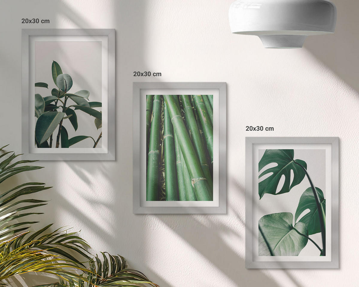 BILDER SET 3er Set - 20x30 cm Silberner Rahmen - Bambusstängel und Monstera-Blätter - Silberfarben, Kunststoff (20/30cm) - TULUP