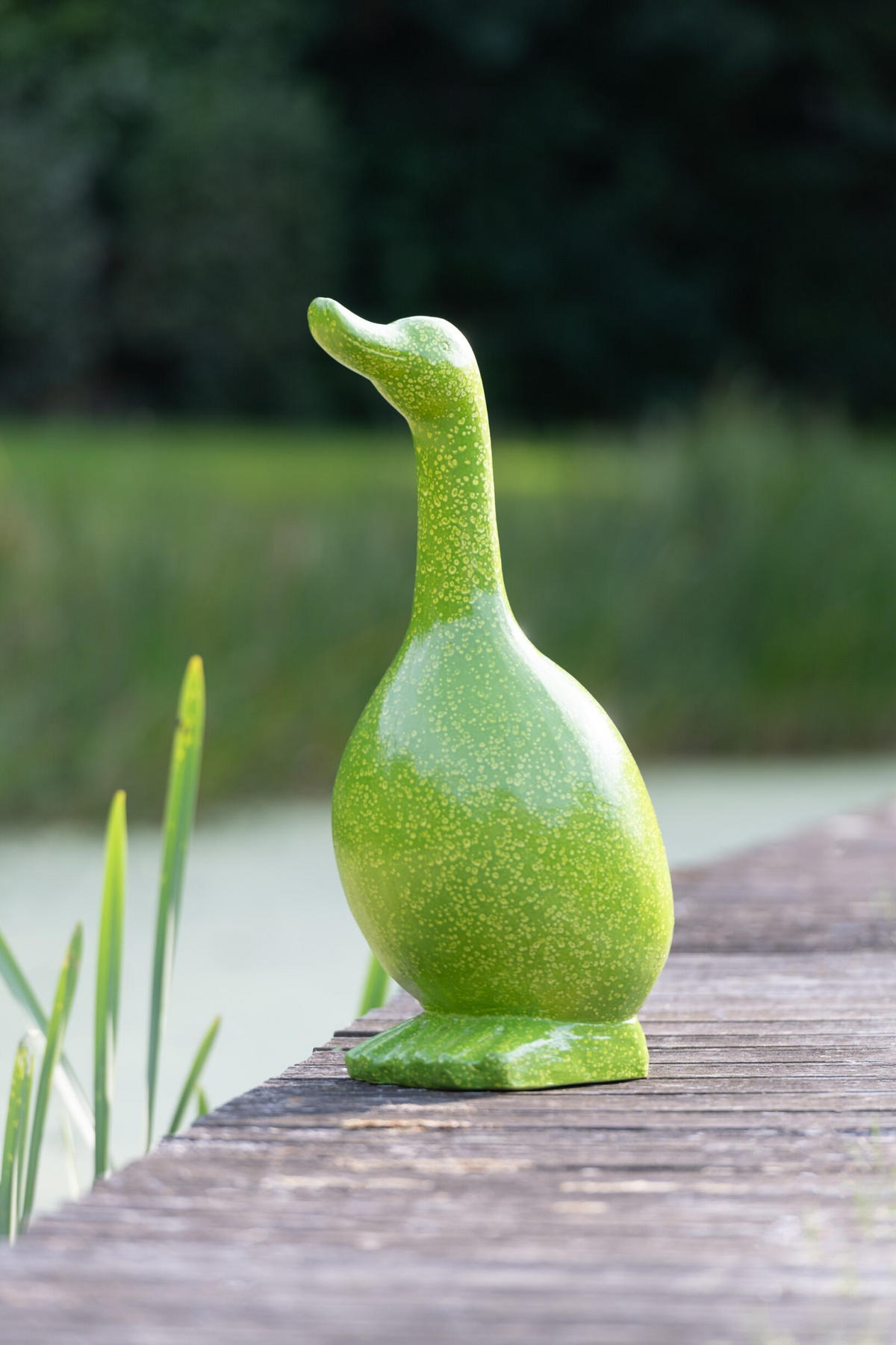 DEKO-OBJEKTE GANS - Kunststoff - Grün - Grün, Glas/Naturmaterialien (25/60/31cm) - J-Line