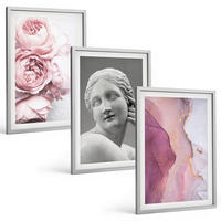 BILDER SET 3er Set - 40x60 cm Silberner Rahmen - Pfingstrosen abstrakte Frauenskulptur - Silberfarben, Kunststoff (40/60cm) - TULUP