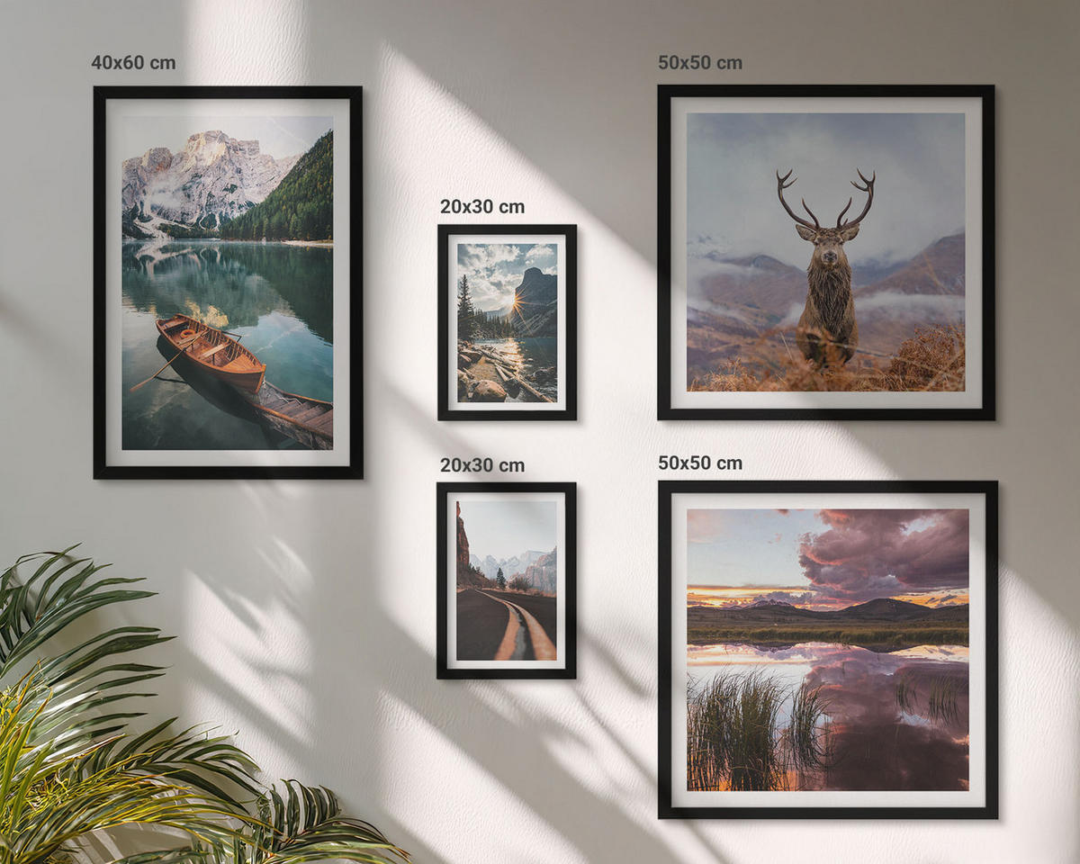 BILDER SET 5er Set - 50x50 cm & 20x30 cm & 40x60 cm Schwarzer Rahmen - Bergsee, Bootsfahrt, Sonnenuntergang, Hirsche - Schwarz, Kunststoff (40/60cm) - TULUP