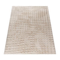 HOCHFLORTEPPICH 60/100 cm Arnheim 741 - Creme, Textil (60/100cm) - Paco Home