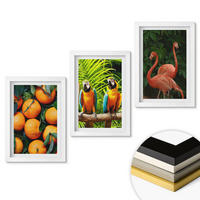 WANDBILDER 3er-Set - 20x30 cm Weißer Rahmen - Fruchtige Akzente in den Tropen - Weiß, Kunststoff (20/30cm) - ArtPrintCave
