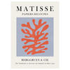 POSTER Vitor Costa - Matisse floral Poster 8 - Multicolor, Papier (50/70/0.1cm) - Poster&Frame