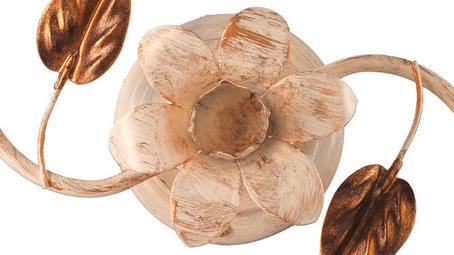 Onli Vanda