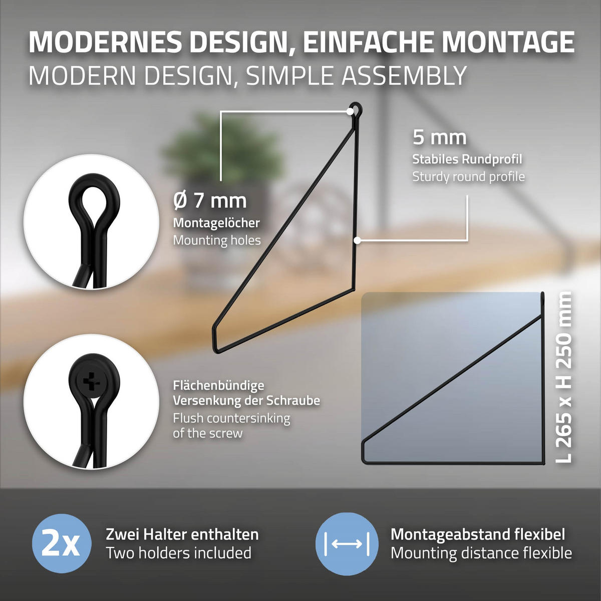 REGALHALTERUNG 2er Set 250mm Schwarz - Schwarz, Metall (25/25/25cm) - ML-DESIGN